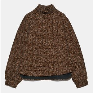 Zara Cheetah Sweater